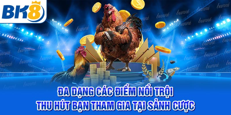 Đa dạng các điểm nổi trội thu hút bạn tham gia tại sảnh cược