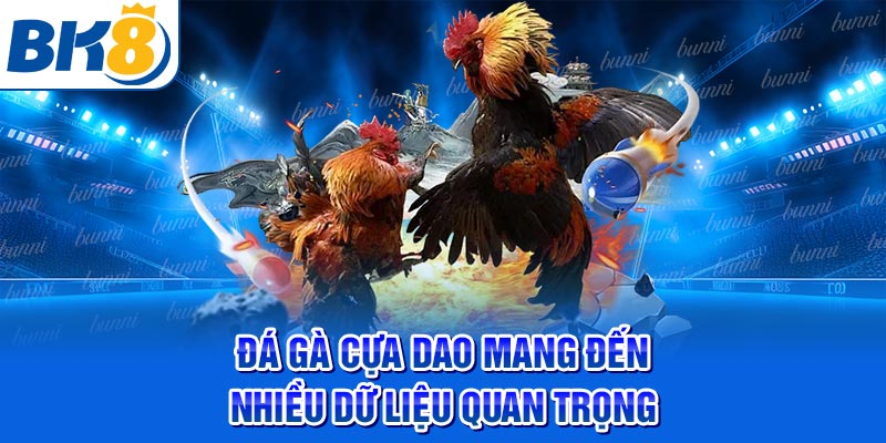 Đá gà cựa dao mang đến nhiều dữ liệu quan trọng