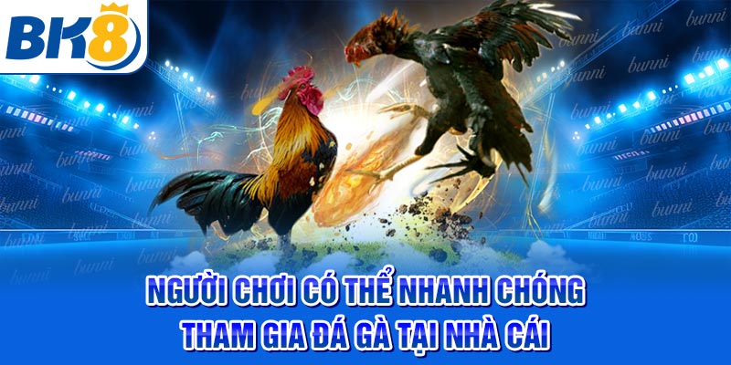 Người chơi có thể nhanh chóng tham gia đá gà tại nhà cái